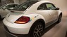 Volkswagen Beetle 2017 - Beetle cuốn hút mọi ánh nhìn, Queen Car