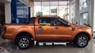 Ford Ranger  Wildtrak 3.2L 2017 - Bán Ford Ranger Wildtrak 3.2L 2017