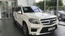 Mercedes-Benz GL-Class GL500 4Matic 2014 - Mercedes Benz GL500 4Matic nhập Mỹ đời 2014, màu trắng. Thanh toán 1 tỷ 080 nhận xe ngay với gói vay cực ưu đãi