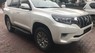 Toyota Prado VX 2018 - Bán Toyota Prado VX đời 2018, màu trắng, nhập khẩu chính hãng