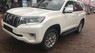 Toyota Prado VX 2018 - Bán Toyota Prado VX đời 2018, màu trắng, nhập khẩu chính hãng