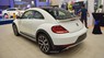 Volkswagen New Beetle 2017 - Bán Volkswagen New Beetle đời 2017, màu trắng, nhập khẩu chính hãng