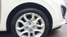 Kia Picanto 1.25 AT 2013 - Xe Kia Picanto 1.25 AT đời 2013, màu trắng số tự động, 342 triệu