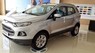 Ford EcoSport 1.5 Titanium 2018 - Bán Ford EcoSport 1.5 Titanium 2018, màu bạc, mới 100%. Vui lòng LH 090.778.2222