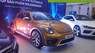 Volkswagen New Beetle AT 2017 - Bán Volkswagen New Beetle năm 2017, màu xám (ghi), xe nhập