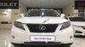 Lexus RX 350 2010 - Bán ô tô Lexus RX 350 2010, màu trắng, nhập khẩu chính chủ