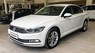 Volkswagen Passat Bluemotion 2017 - Volkswagen Bluemotion 2017, nhập khẩu chính hãng, giá tốt nhất, hỗ trợ vay 80%, giao xe tận nơi