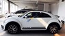 Volkswagen Beetle 2018 - Bán Volkswagen Beetle đời 2018, màu trắng, xe nhập