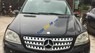 Mercedes-Benz ML Class ML350  2006 - Mercedes ML350 SX 2006, ĐK 2007