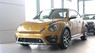 Volkswagen Beetle Dune 2017 - Cần bán Volkswagen Beetle Dune sản xuất 2017, màu vàng, nhập khẩu