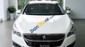 Peugeot 508 2015 - Bán xe Peugeot 508 trắng, nhập khẩu nguyên chiếc tại Biên Hòa - 0933 805 998