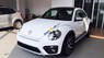 Volkswagen Beetle 2018 - Bán Volkswagen Beetle đời 2018, màu trắng, xe nhập