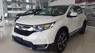 Honda CR V 2017 - Cần bán Honda CR V sản xuất 2017, màu trắng, nhập khẩu