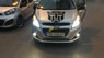 Chevrolet Spark van 2013 - Chevrolet Spark Van 2013 màu bạc, nhập khẩu nguyên chiếc