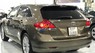 Toyota Venza 2009 - Cần bán gấp Toyota Venza đời 2009, màu vàng, xe nhập