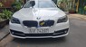 BMW 5 Series 520i 2017 - Xe BMW 5 Series 520i đời 2017, màu trắng, nhập khẩu nguyên chiếc