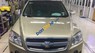 Chevrolet Captiva  LTZ  2008 - Bán xe Chevrolet Captiva LTZ đời 2008, màu vàng cát