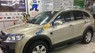 Chevrolet Captiva  LTZ  2008 - Bán xe Chevrolet Captiva LTZ đời 2008, màu vàng cát