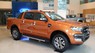 Ford Ranger Wildtrak 2017 - Ranger Wildtrak đang giảm giá 20%