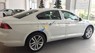 Volkswagen Passat 2017 - Cần bán Volkswagen Passat đời 2017, màu trắng, nhập khẩu nguyên chiếc