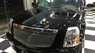 Cadillac Escalade 6.2 V8  2010 - Cần bán Cadillac Escalade 6.2 V8 2010, màu đen, nhập khẩu