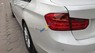 BMW 3 Series 320i 2013 - Bán ô tô BMW 3 Series 320i đời 2013, màu trắng, xe nhập