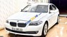 BMW 5 Series   528i 2012 - Cần bán lại xe BMW 5 Series 528i đời 2012, màu trắng