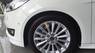 Ford Focus 1.5L Titanium 2018 - Bán Ford Focus 1.5L Titanium đời 2018, màu trắng, giá bán có thương lượng