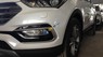 Hyundai Santa Fe 2.2 2018 - Hyundai Giải Phóng- Bán Hyundai Santa Fe full xăng 2018 xe đẹp, giao xe ngay