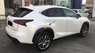 Lexus NX NX300h 2015 - Cần bán chiếc Lexus NX300h 2015 màu trắng cực đẹp