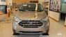 Ford EcoSport Titanium 2018 - Bán Ford EcoSport Titanium năm 2018, màu xám, giá 620tr