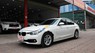 BMW 3 Series 320i 2016 - Bán ô tô BMW 3 Series 320i sản xuất 2016, màu trắng, nhập khẩu như mới