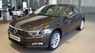 Volkswagen Passat Bluemotion 2017 - Cần bán Volkswagen Passat Bluemotion sản xuất năm 2017, màu nâu, nhập khẩu nguyên chiếc