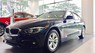 BMW 3 Series 320i  2017 - Cần bán xe BMW 3 Series 320i đời 2017, màu xanh lam, nhập khẩu