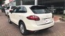 Porsche Cayenne 2011 - Bán ô tô Porsche Cayenne đời 2011, màu trắng, nhập khẩu chính hãng, như mới