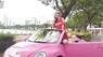 Volkswagen New Beetle 2008 - Bán xe Volkswagen New Beetle đời 2008, màu hồng, nhập khẩu nguyên chiếc, giá cạnh tranh