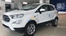 Ford EcoSport 1.5 Titanium 2018 - Bán Ford EcoSport 1.5 Titanium 2018, đủ màu, giao ngay, lăn bánh chỉ với 250tr. L/h: 0987 987 588