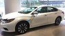 Nissan Teana 2.5 SL 2017 - Cơ hội mua xe Nissan Teana 2.5SL nhập khẩu Mỹ với giá ưu đãi đến 100 triệu tại Quảng Bình, lh 0914815689