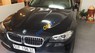 BMW 5 Series  520i   2016 - Bán BMW 5 Series 520i năm sản xuất 2016, màu đen, xe nhập 