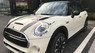 Mini Cooper S 5Dr 2017 - Bán ô tô Mini Cooper S 5Dr đời 2017, hai màu, nhập khẩu