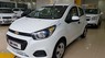 Chevrolet Spark Van 2018 - Bán xe Spark Van 2018 giảm giá siêu rẻ, mua trả góp mỗi tháng thanh toán 3.5 triệu