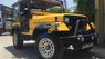 Jeep Wrangler MT 1989 - Bán Jeep Wrangler MT năm 1989, màu vàng