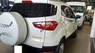 Ford EcoSport AT 2016 - Bán Ford EcoSport 2016 AT 553 tr, 36.000km, BH hãng đến 2019, xe đẹp không lỗi lầm