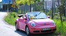 Volkswagen Beetle   2009 - Cần bán lại xe Volkswagen Beetle 2009, màu hồng, nhập khẩu