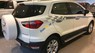 Ford EcoSport 1.5L Titanium 2017 - Cần bán Ford EcoSport 1.5L titanium đời 2017, vay ngân hàng 80%