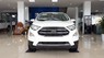 Ford EcoSport 1.0 ECOBOOST 2018 - Bán xe Ford EcoSport 1.0 ECOBOOST đời 2018, màu trắng, giá chỉ 689 triệu