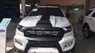 Ford Ranger Wildtrak 2018 - Bán Ford Ranger Wildtrak 2018, màu trắng, xe nhập