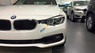 BMW 3 Series 320i 2017 - Bán xe BMW 3 Series 320i 2017, màu trắng, nhập khẩu