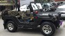 Jeep 2010 - Cần bán Jeep A2 sản xuất 2010, màu xanh lam, nhập khẩu