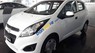 Chevrolet Spark  Van  2017 - Bán xe Chevrolet Spark Van 2017, màu trắng 